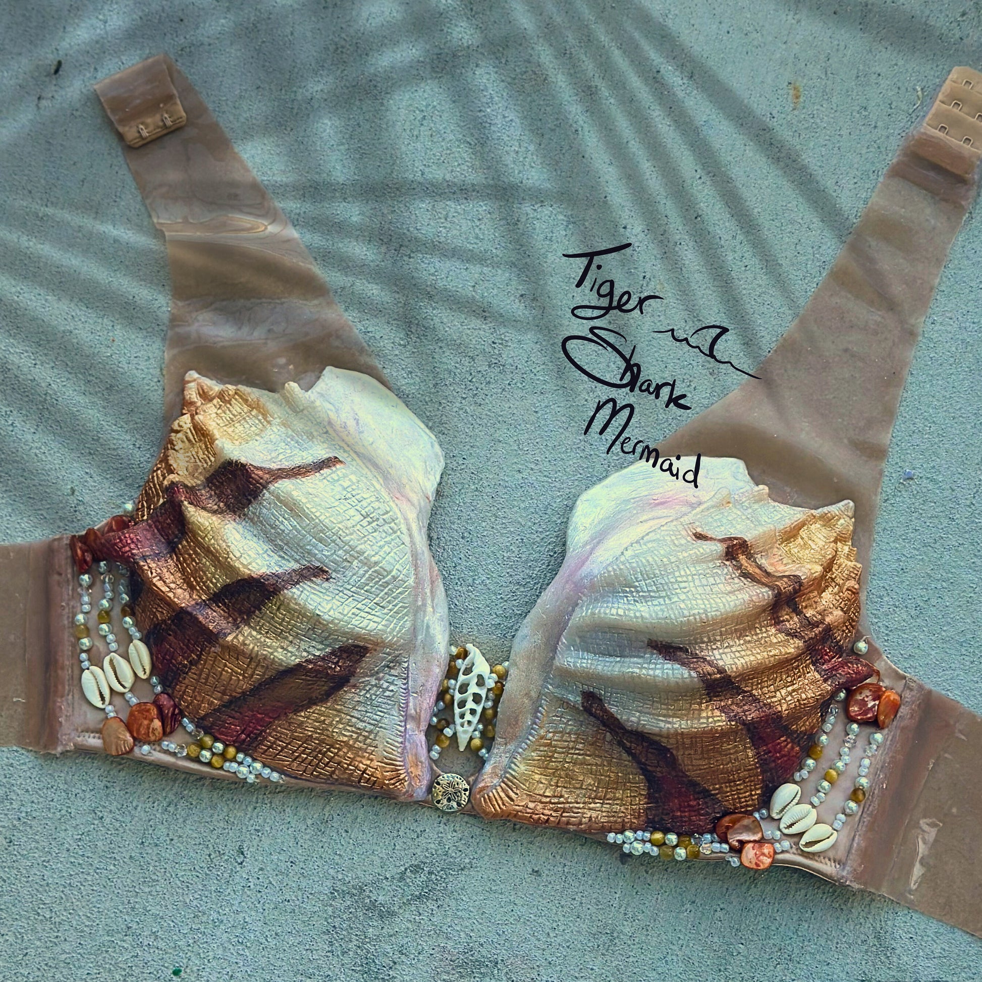 Custom Conch Shell Top B/C/D/DD/F/G cup size