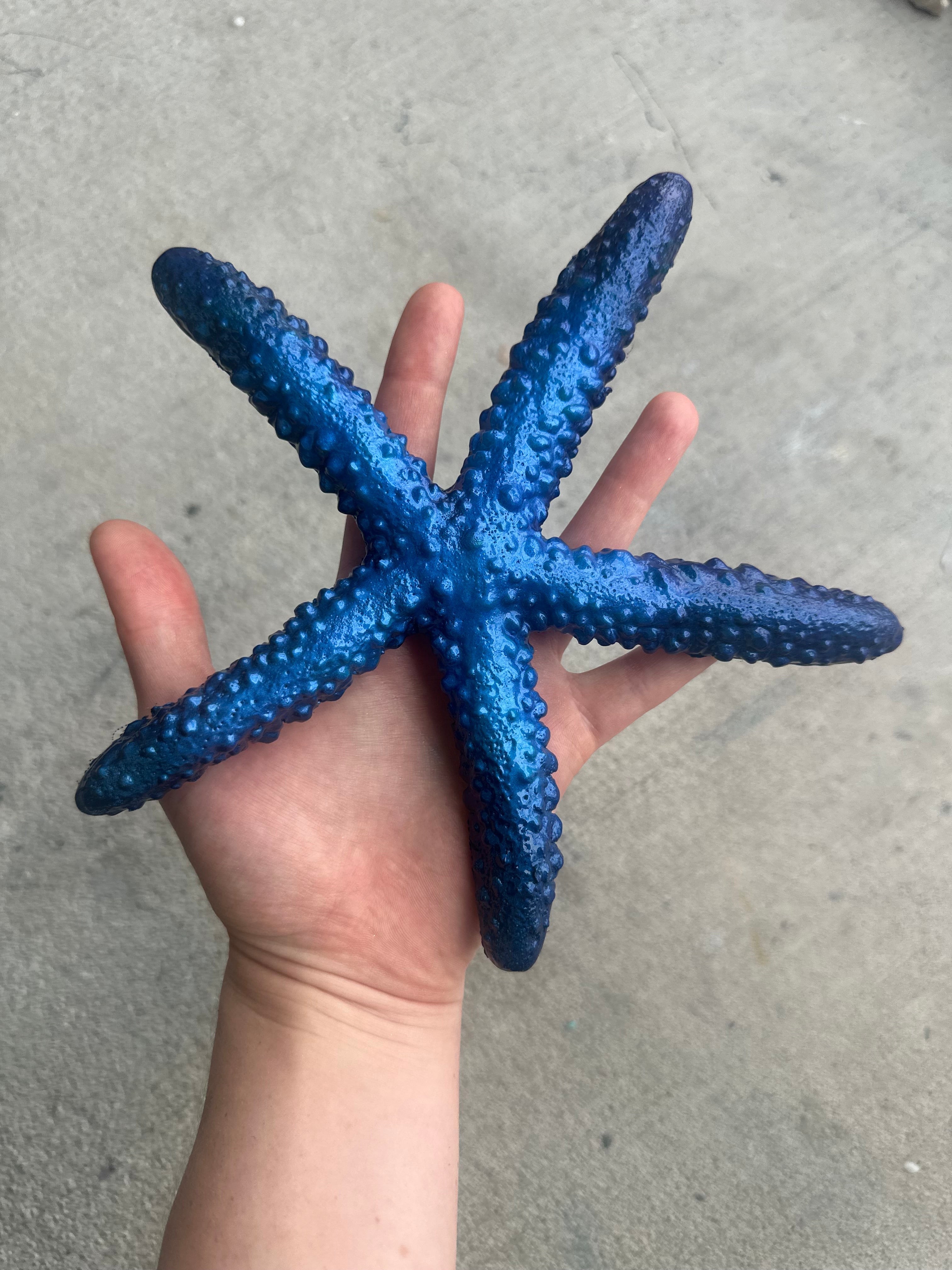 Accessories & Dive Gear