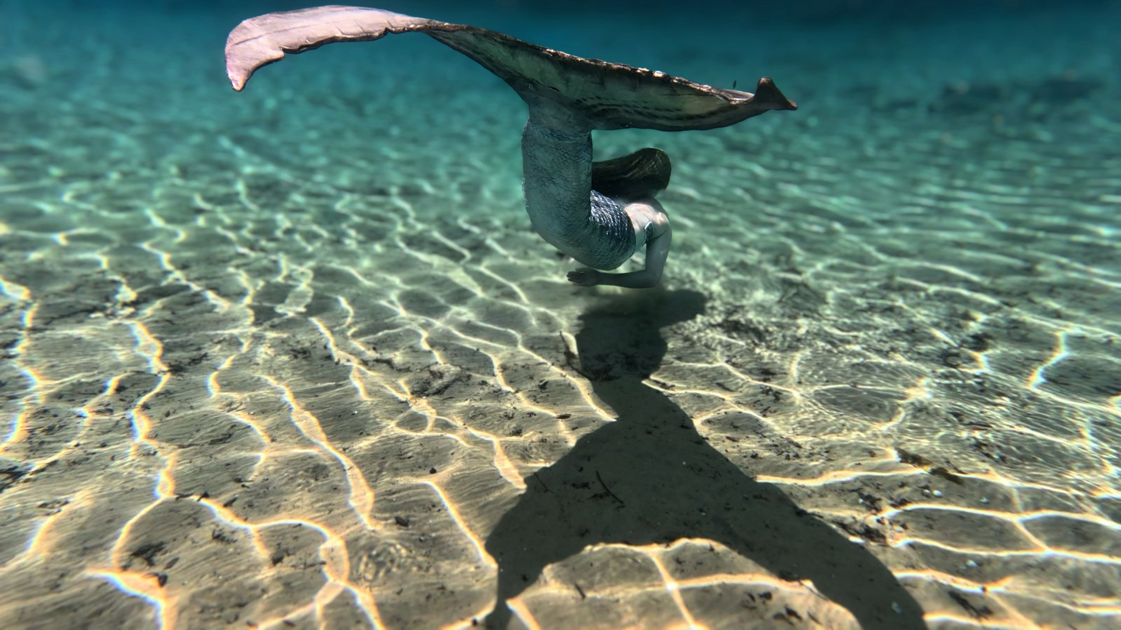 Silicone Mermaid Tail