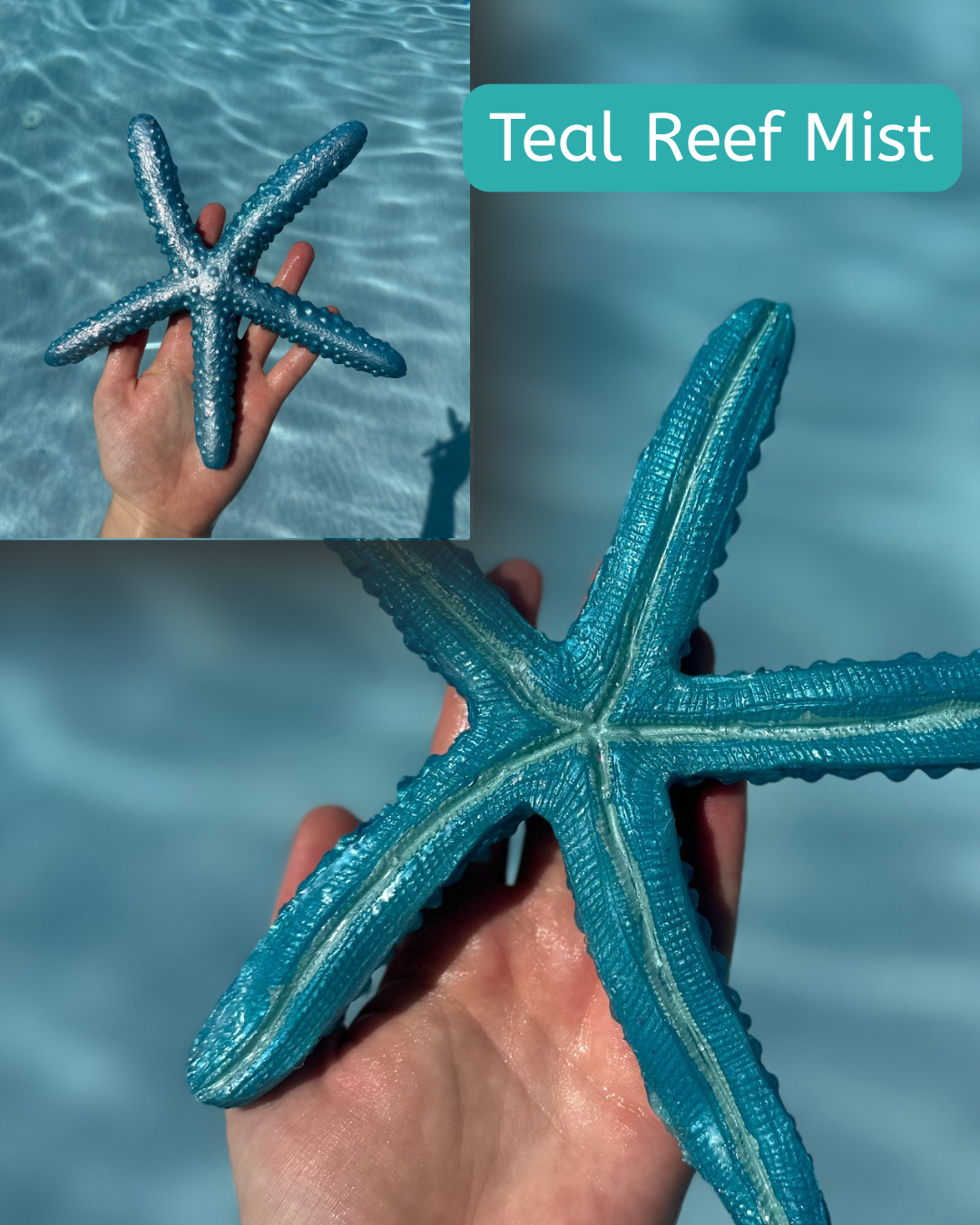 Linckia Starfish Dive Toy – Custom Colors Available