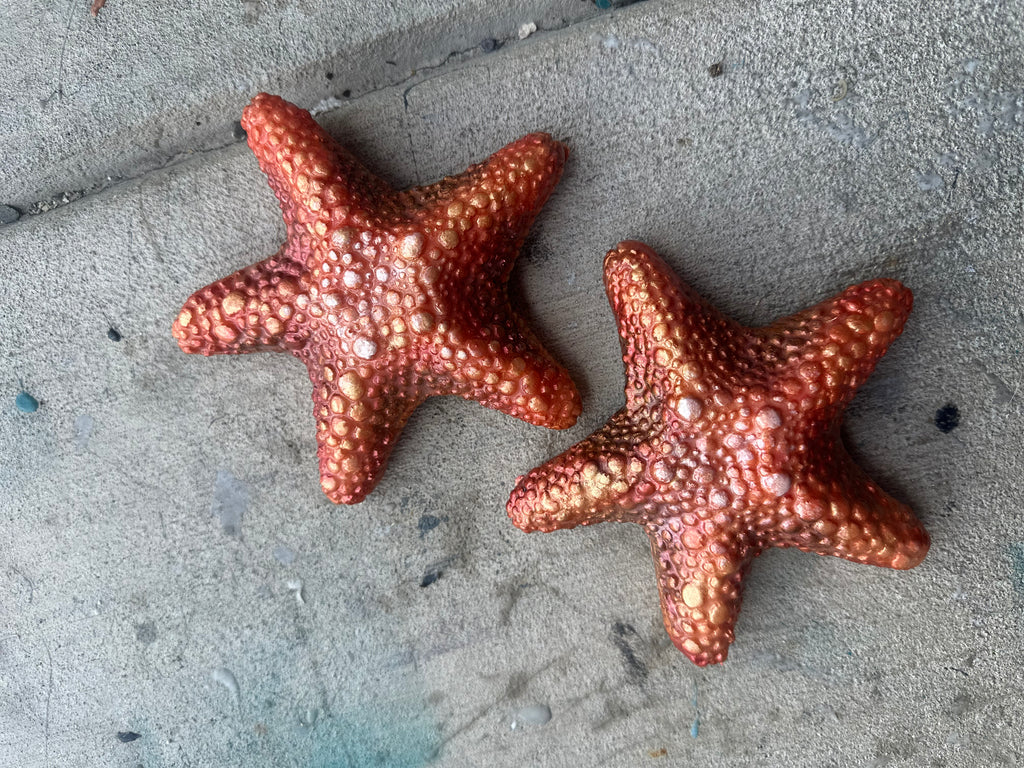 Starfish Add ons/Single and Pair weights