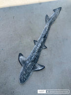 Leopard Shark Realistic Weight Belt