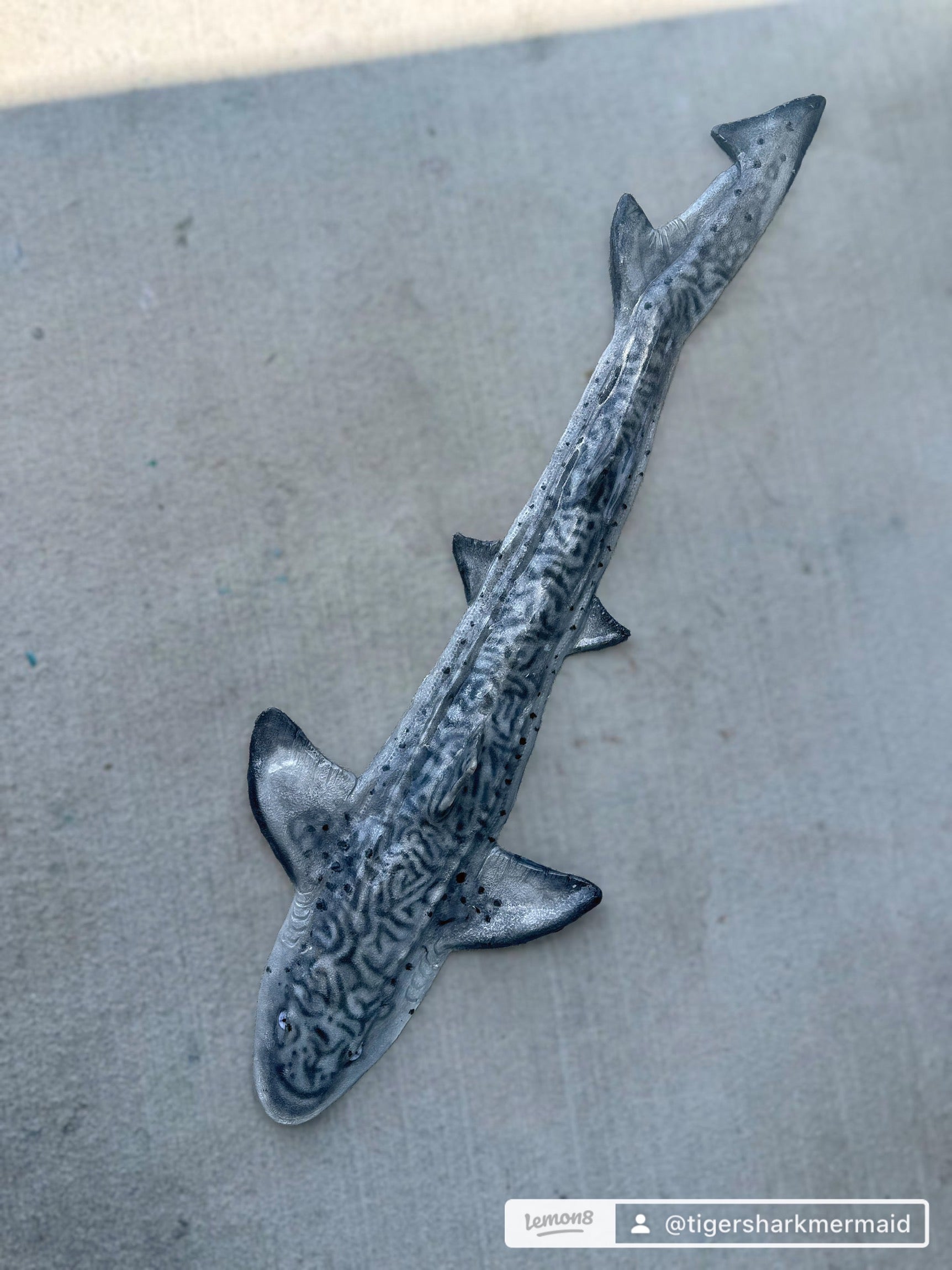 Leopard Shark Realistic Weight Belt