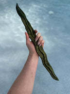 Seaweed Bracelet Wrap - Custom/Pre-made