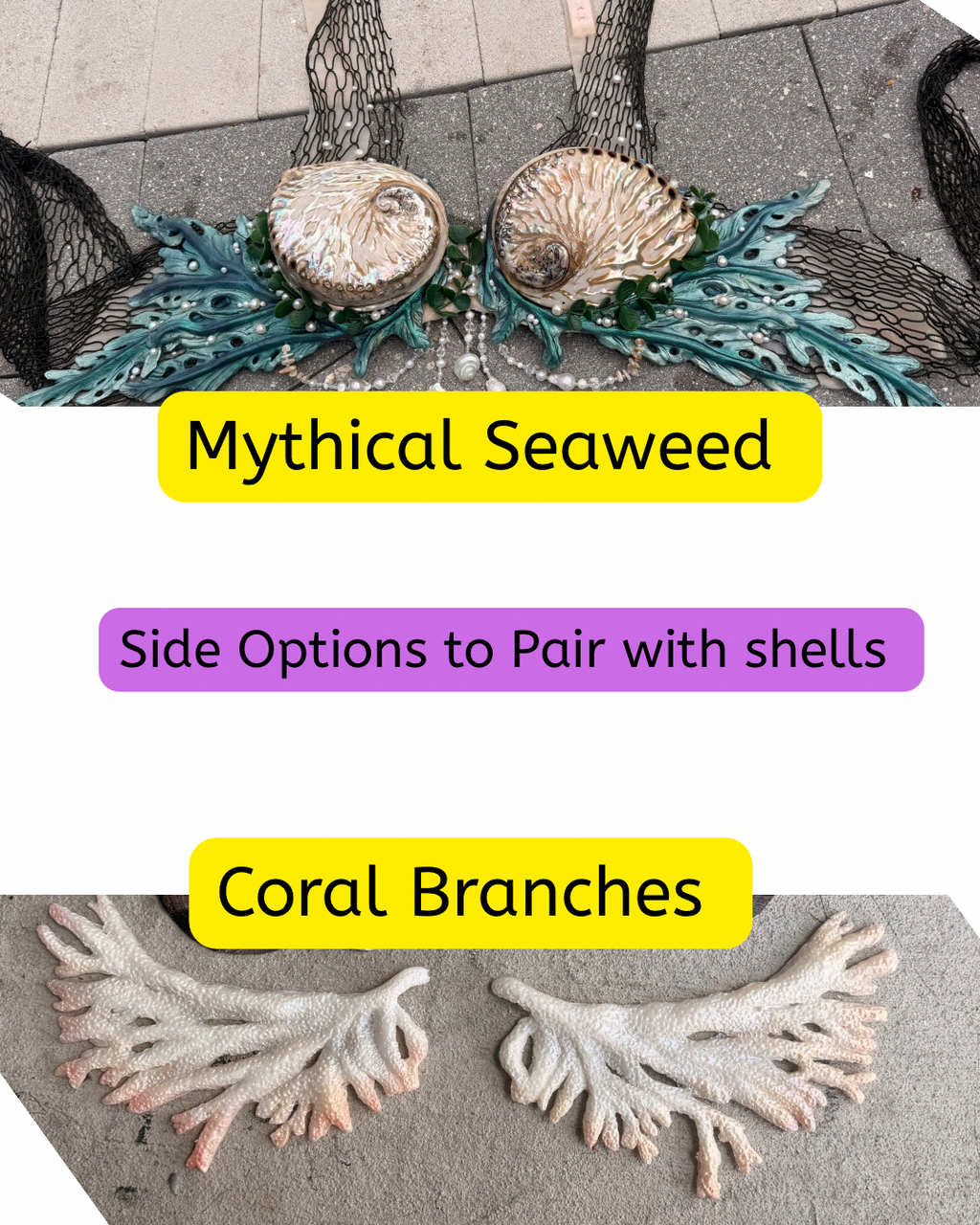 Custom Starfish Top Slots -Cup Size