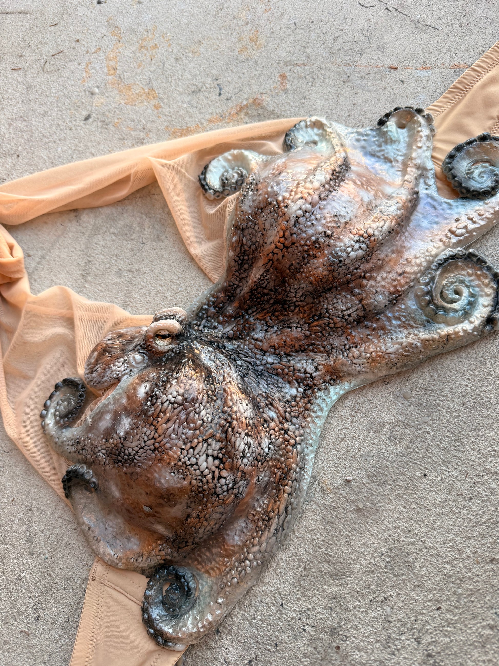 Caribbean Reef Octopus Silicone Top – Pre-Made (34B / Convertible O-Ring Fit)