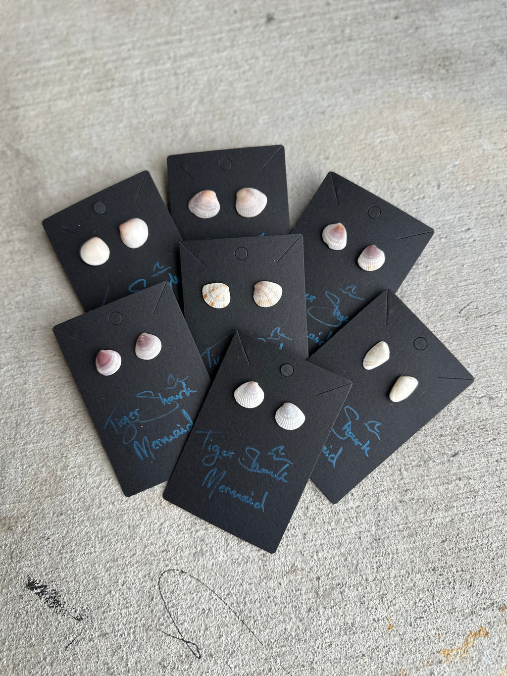 Real Sea Shell Stud Earrings – Handmade from Matching Shells Collected on Sanibel Island, Florida – Stainless Steel or Sterling Silver Posts