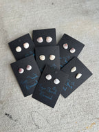 Real Sea Shell Stud Earrings – Handmade from Matching Shells Collected on Sanibel Island, Florida – Stainless Steel or Sterling Silver Posts