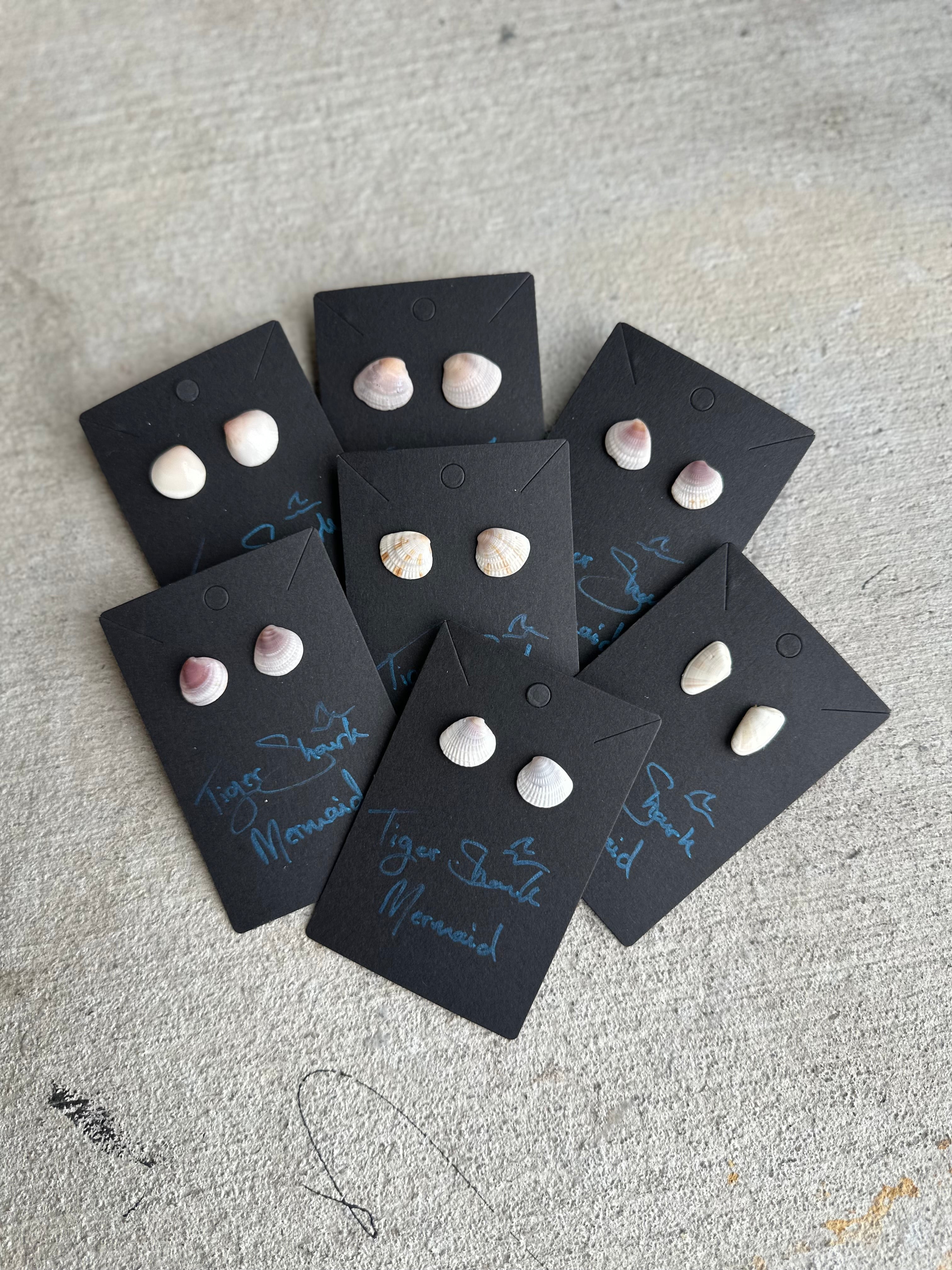 Real Sea Shell Stud Earrings – Handmade from Matching Shells Collected on Sanibel Island, Florida – Stainless Steel or Sterling Silver Posts