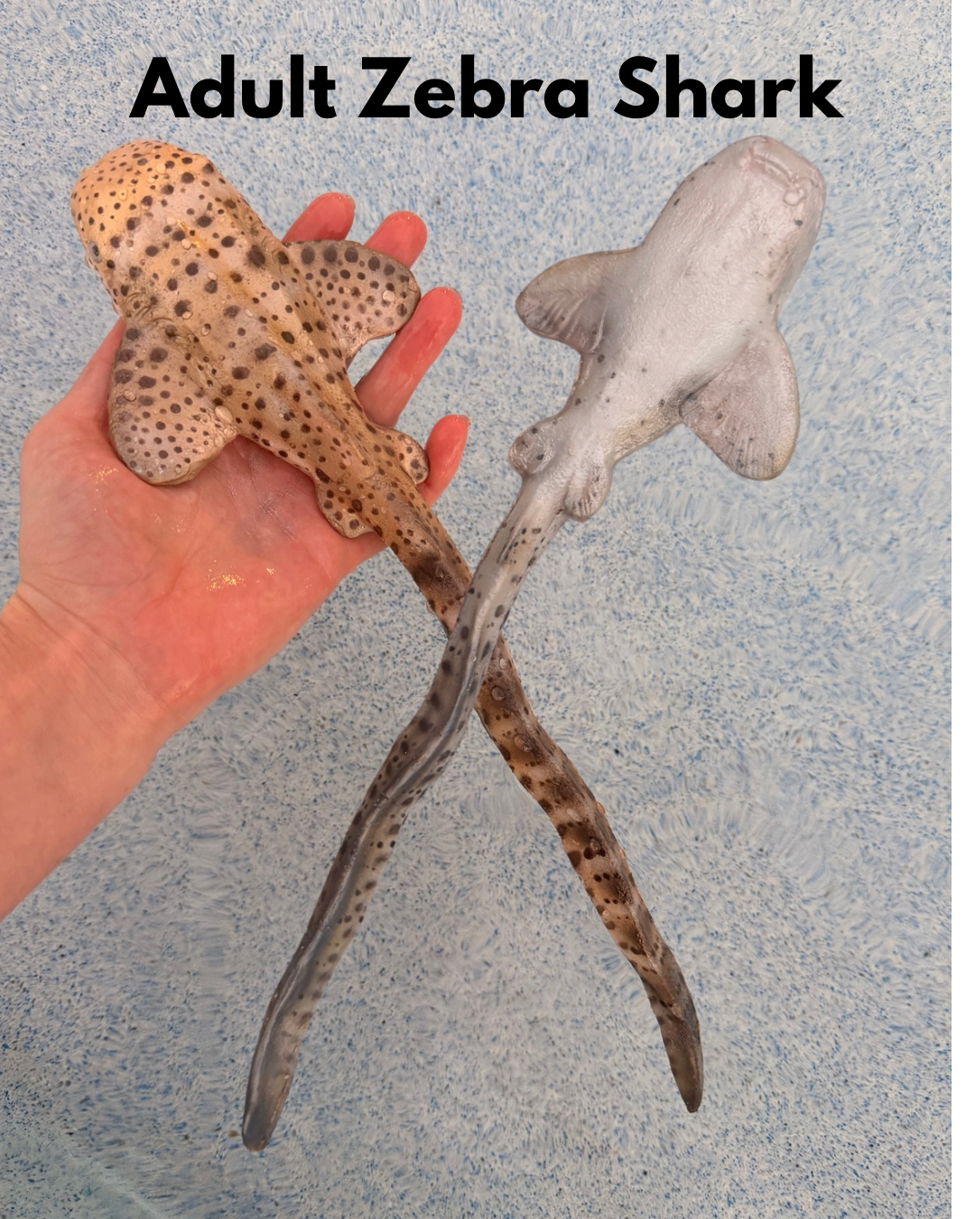 Shark Arm Wraps — Bendable Silicone Dive Props (Ready to Ship)