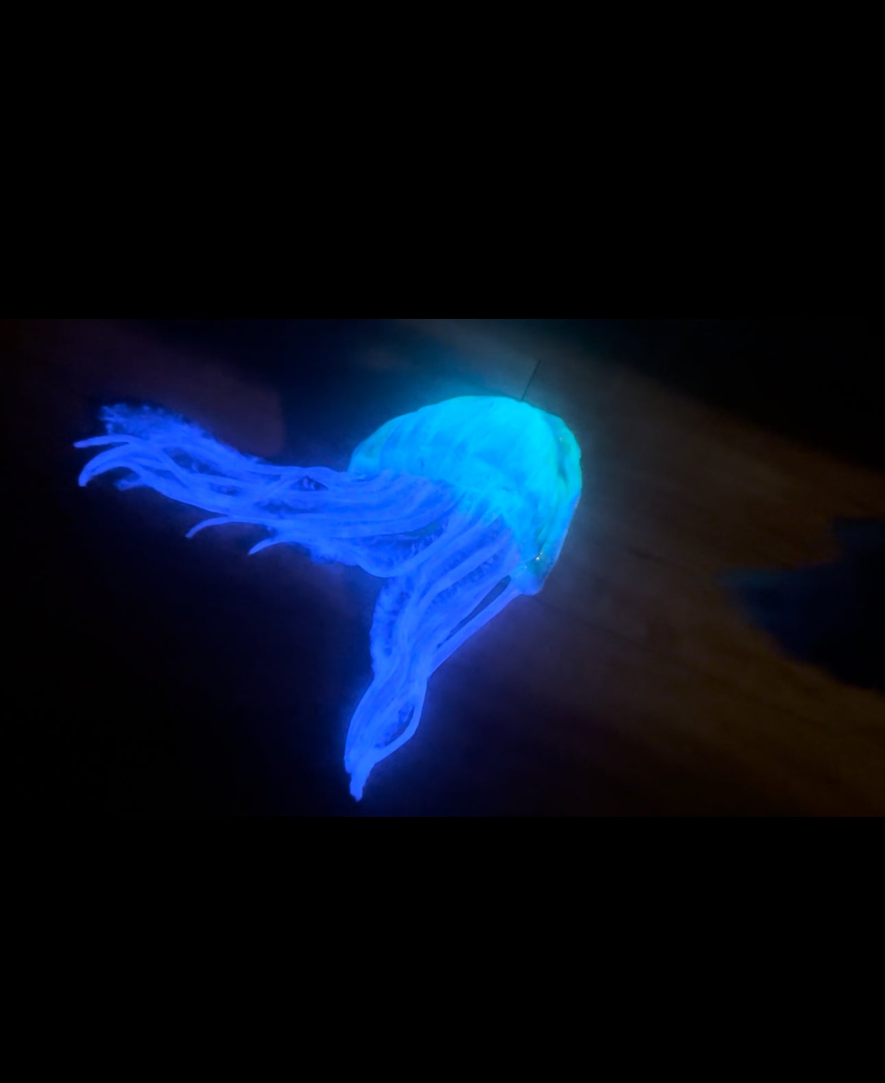 Glow in the Dark Build-A-Top Jellyfish pre-made B/C/D/DD top