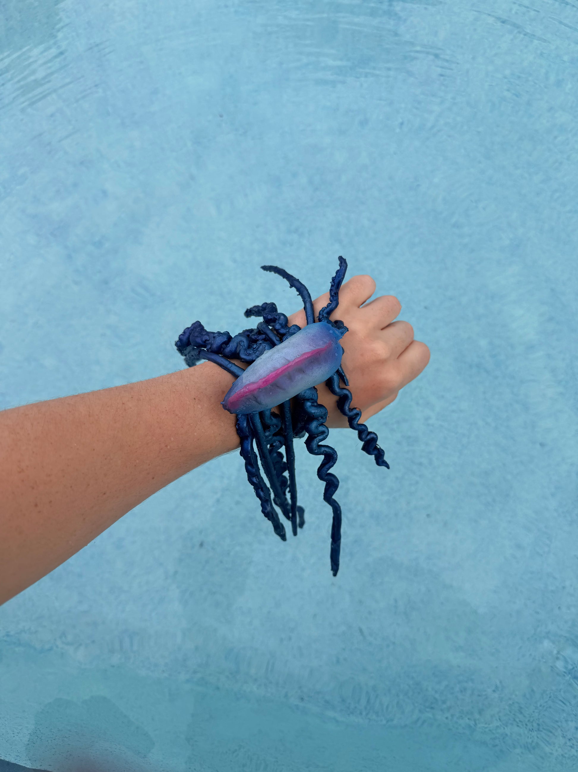 Pre-Made Man-O-war Accessory (yes it floats too)