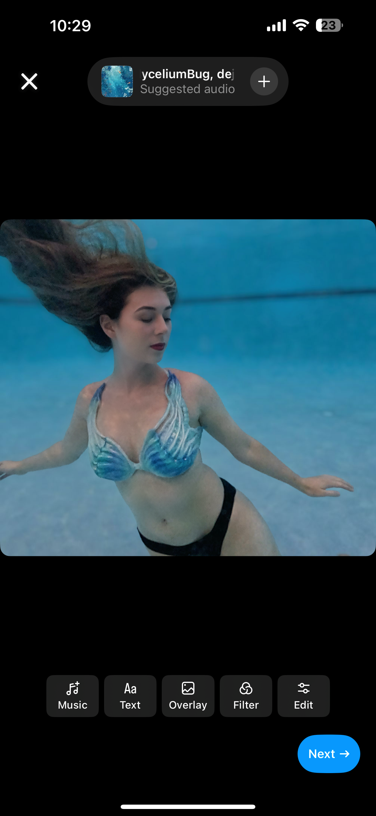 Jellyfish Silicone Mermaid Top (Swimsuit-Base Custom) B/C\D and DD Cup Available