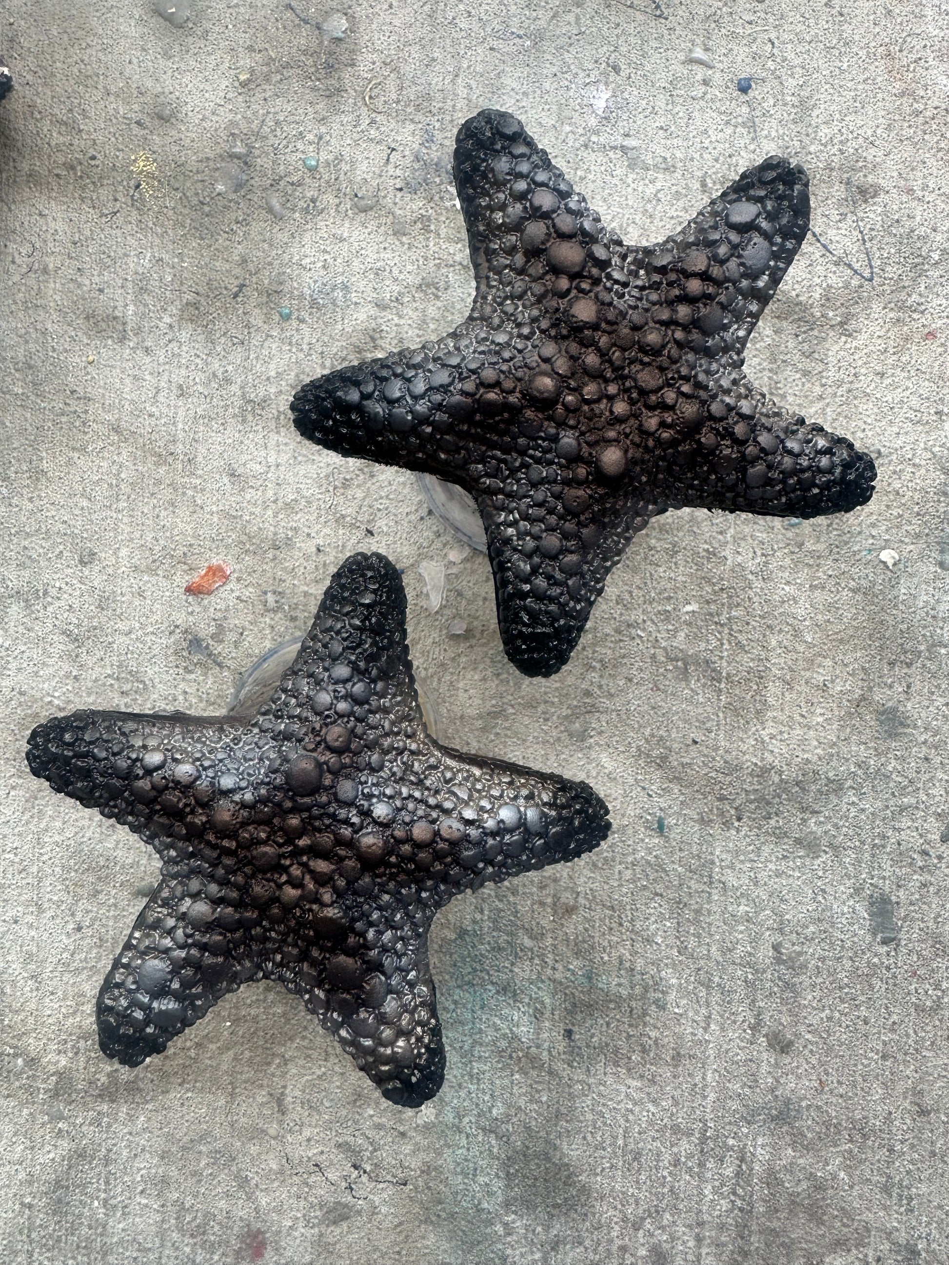 Starfish Add ons/Single and Pair weights