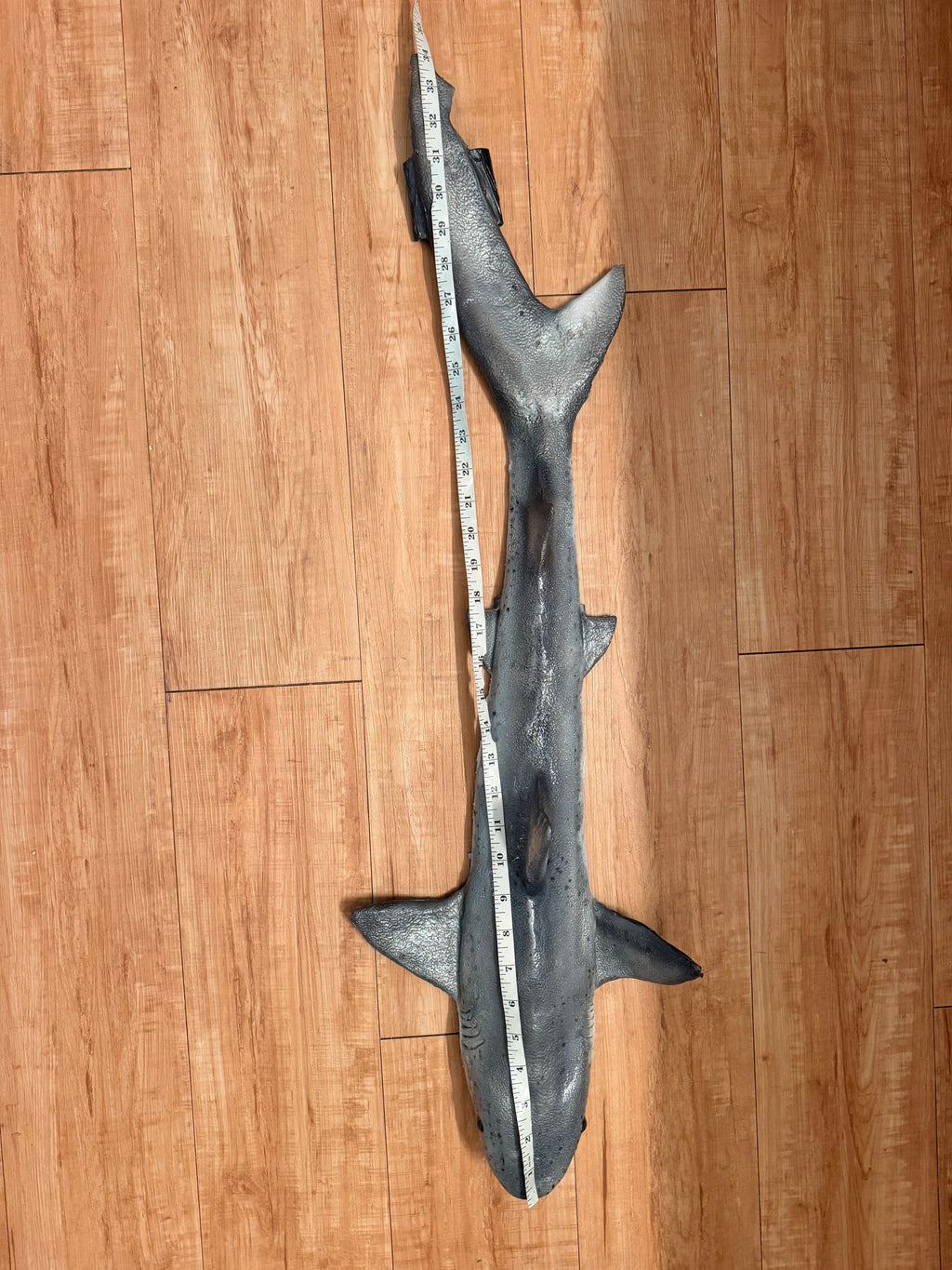 Great white coloration/Black tip Body shape shark weight belt 3.5lbs of added weight
