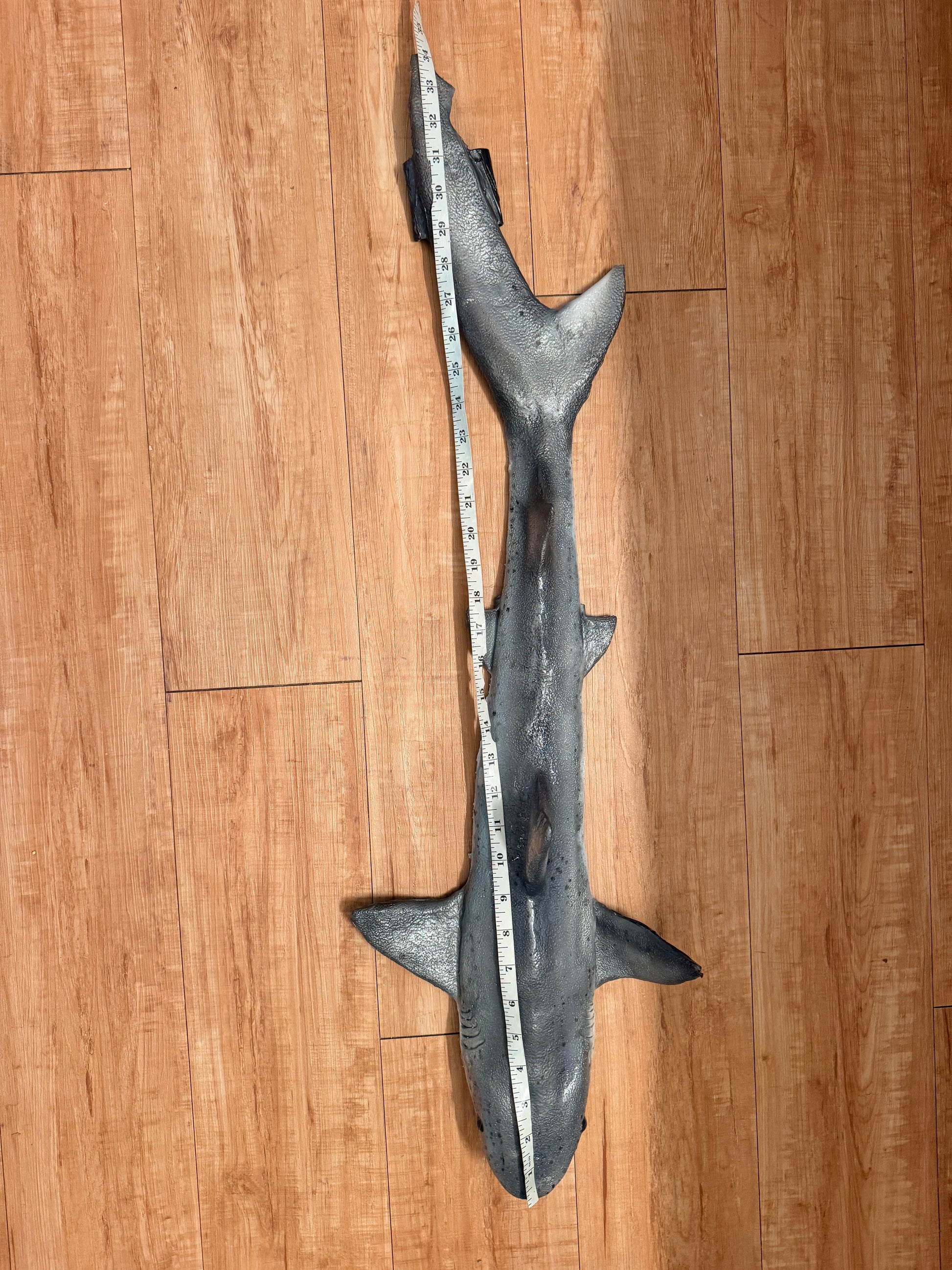 Great white coloration/Black tip Body shape shark weight belt 3.5lbs of added weight