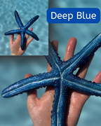 Linckia Starfish Dive Toy – Custom Colors Available