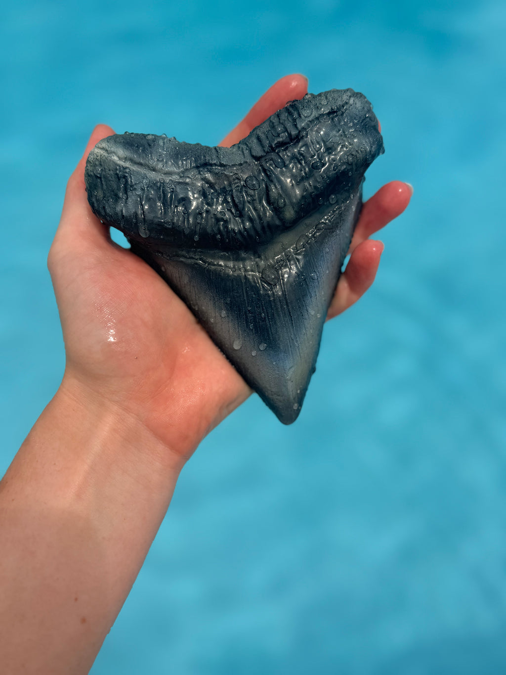 Custom Shark Tooth Dive Weight | Silicone Freediving & Mermaid Weight |Sold Individually