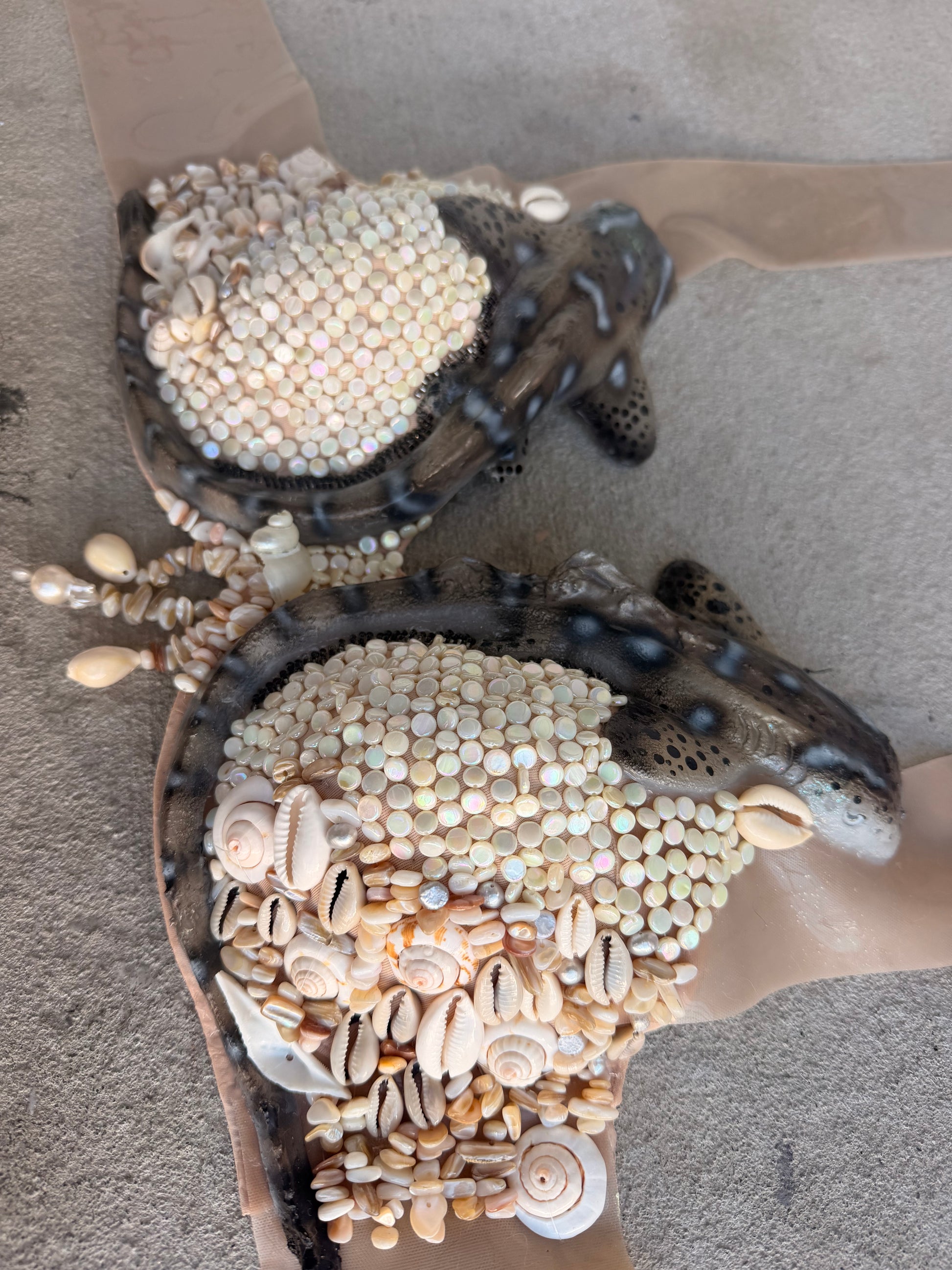 Shark top w/shells Pre-made C Cup