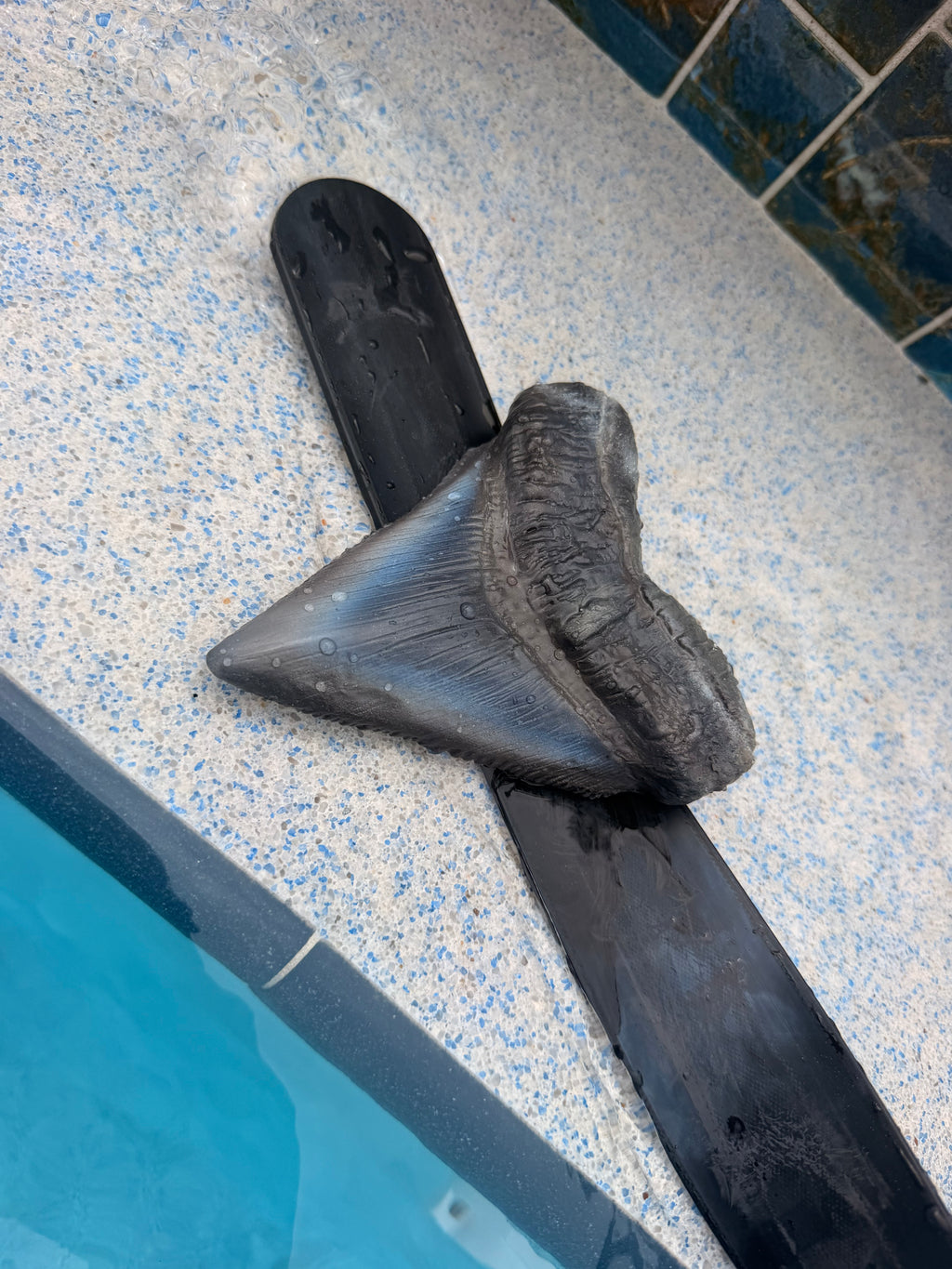 Custom Shark Tooth Dive Weight | Silicone Freediving & Mermaid Weight |Sold Individually