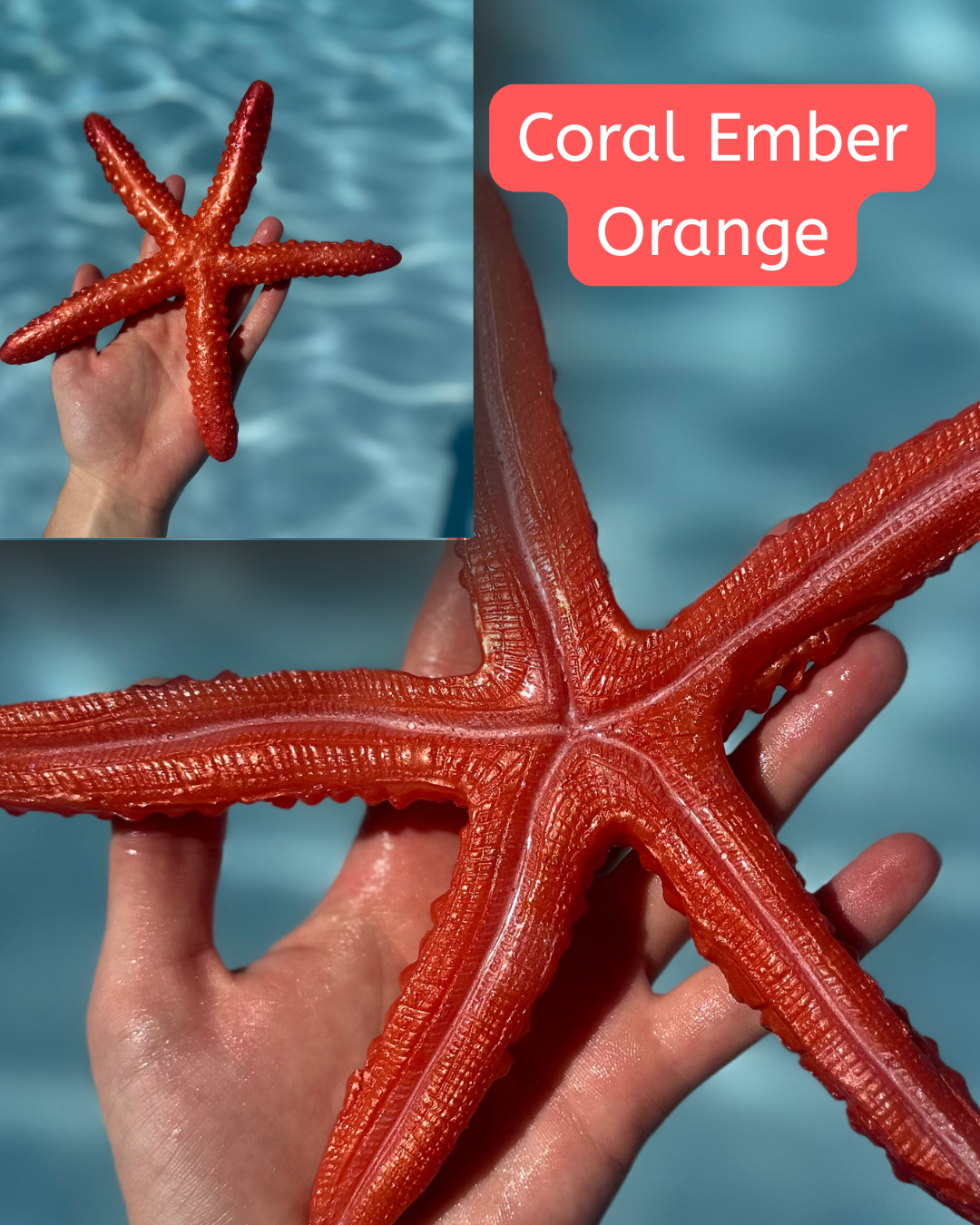 Linckia Starfish Dive Toy – Custom Colors Available