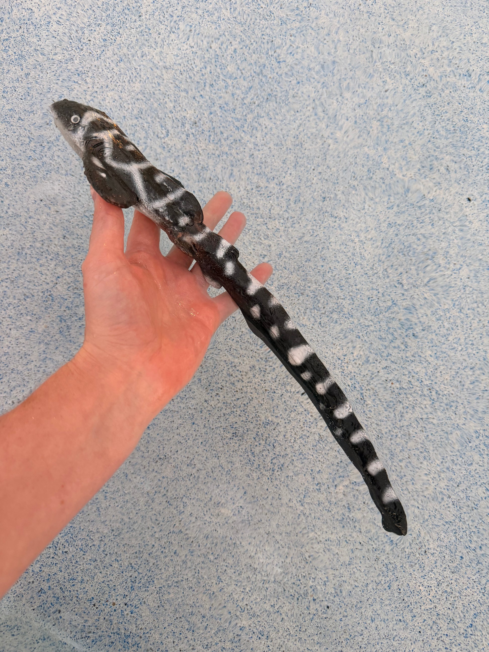 Shark Arm Wraps – Flexible Silicone Performance Accessories
