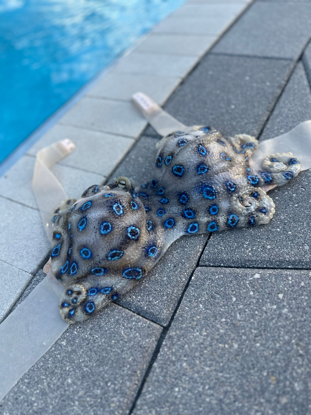 Pre-Made Blue-Ringed Octopus Silicone Mermaid Top – Adjustable Band for C Cup Sizes