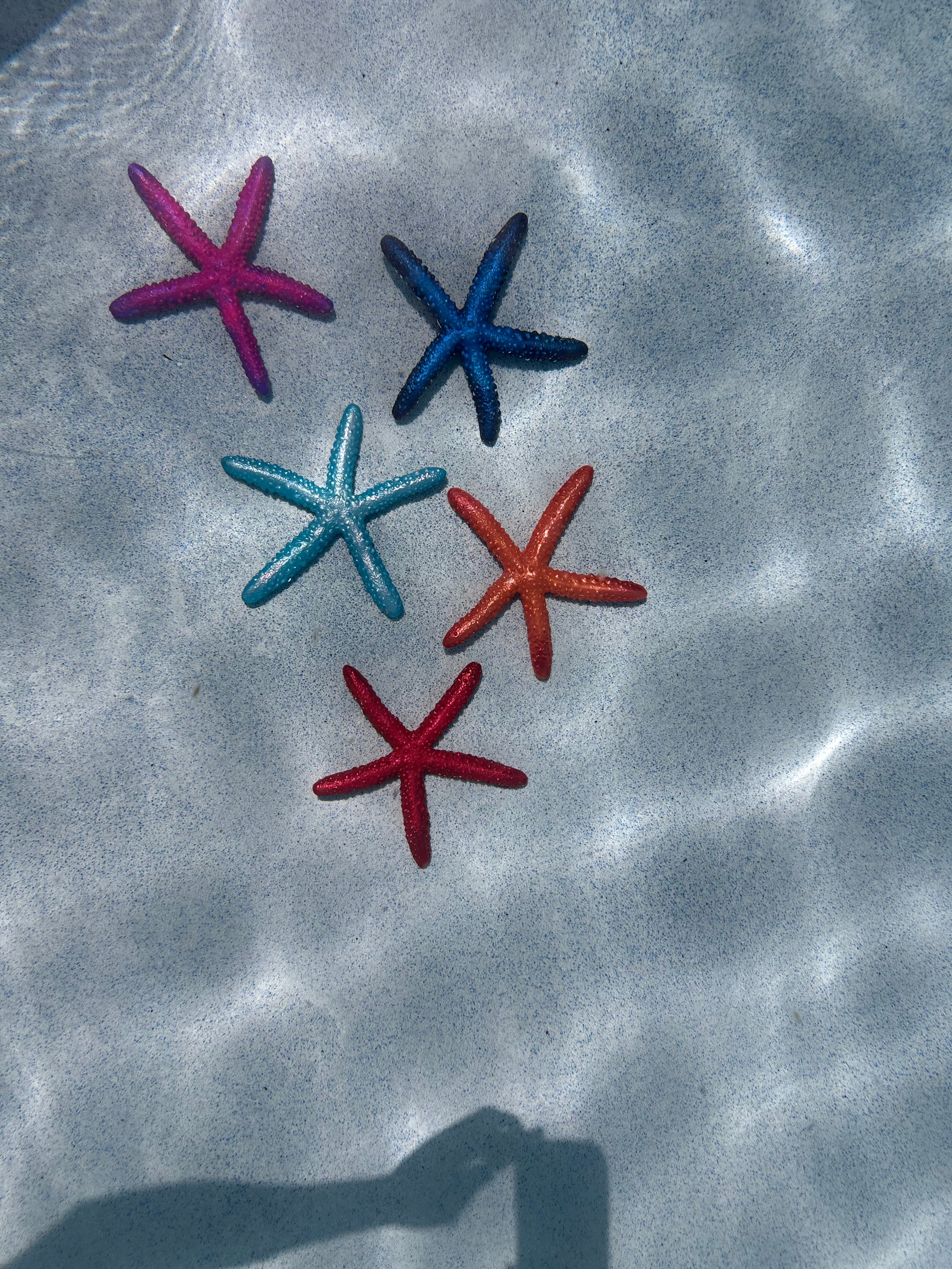 Linckia Starfish Dive Toy – Custom Colors Available