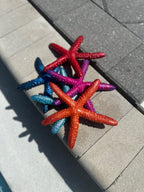 Linckia Starfish Dive Toy – Custom Colors Available