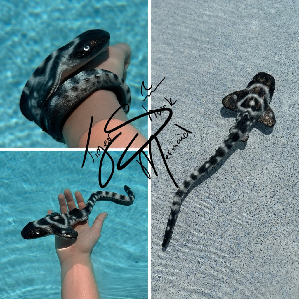 Shello Box 2025 - Sharkmas Shello Box