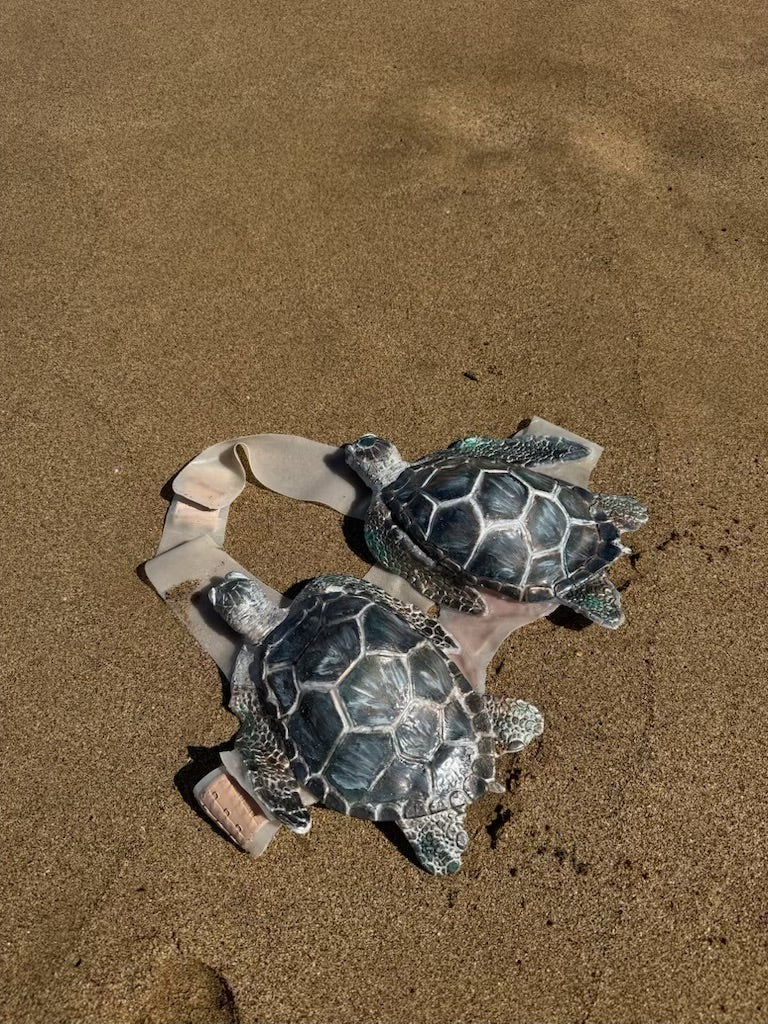 Sea Turtle Top Slot B,C,D, & DD Cup Size