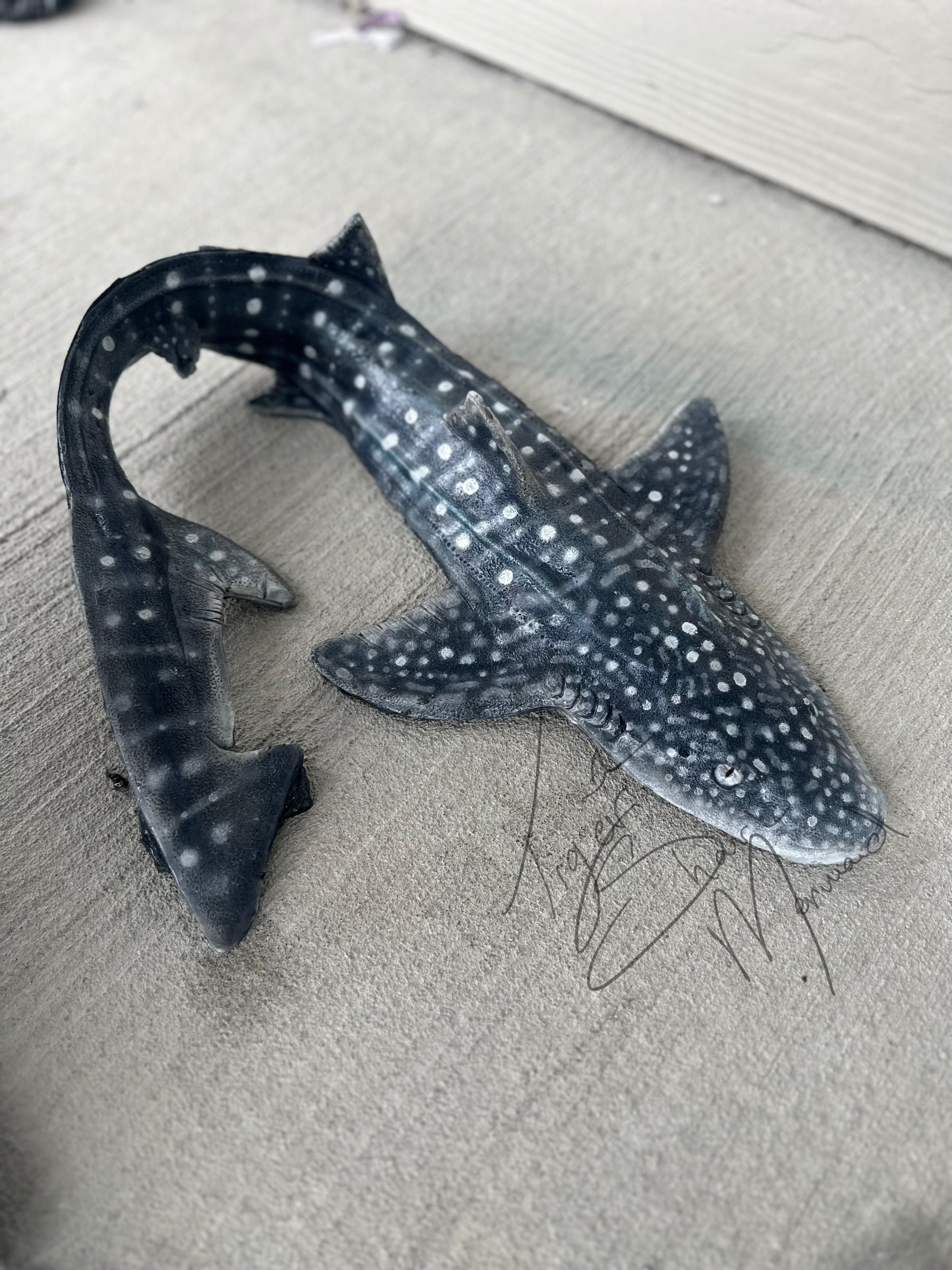 Leopard Shark Realistic Weight Belt