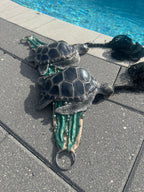 Sea Turtle Top Slot B,C,D, & DD Cup Size