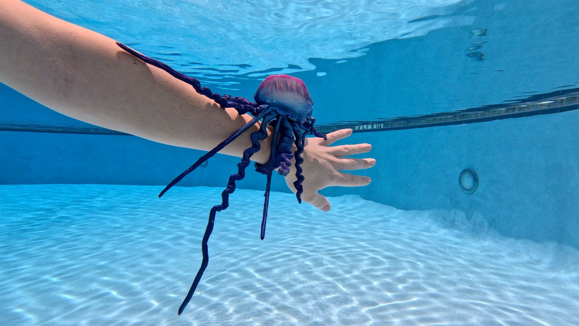Man-o’-War Jellyfish Floating Arm Band