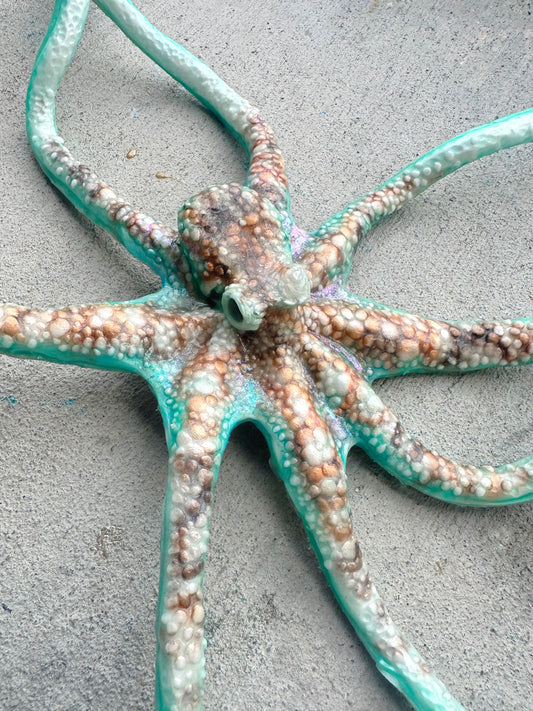 Octopus Wrap/Dive toy