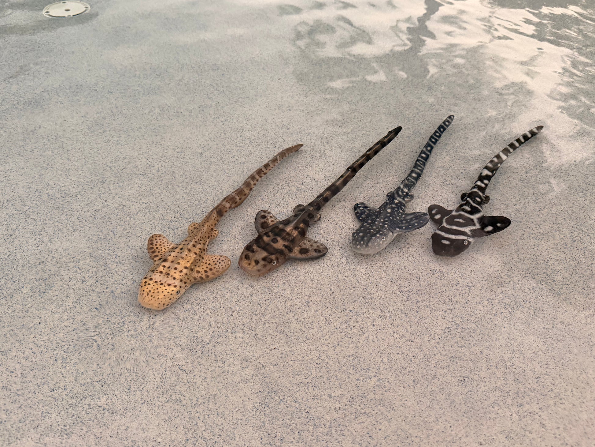 Shark Arm Wraps — Bendable Silicone Dive Props (Ready to Ship)