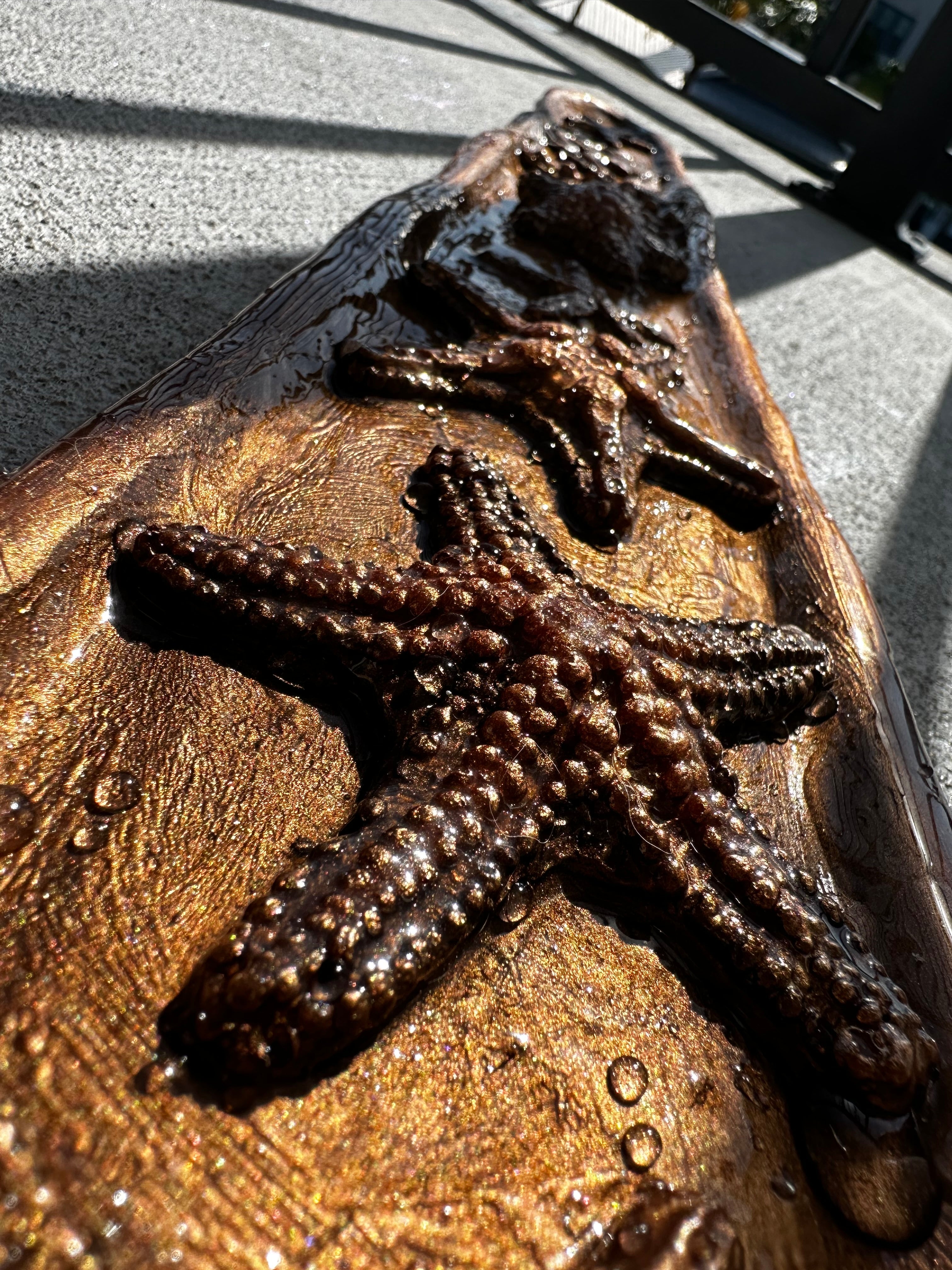 Silicone Starfish Freediving Weight Belt – Ocean-Inspired Design for Mermaids & Divers