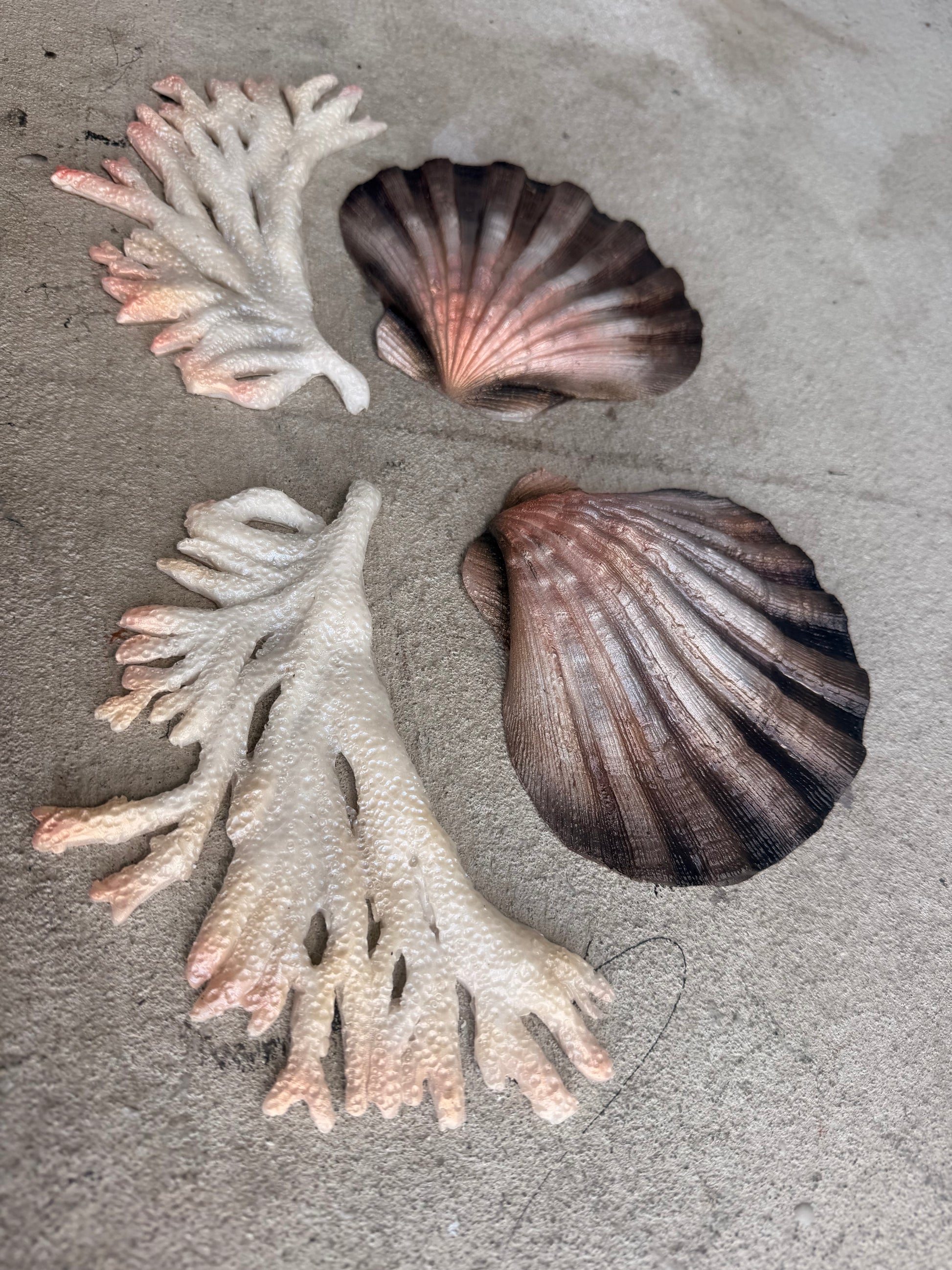 Natural Shell Build-A-Top Set – Custom Silicone Mermaid Top (B–DD)