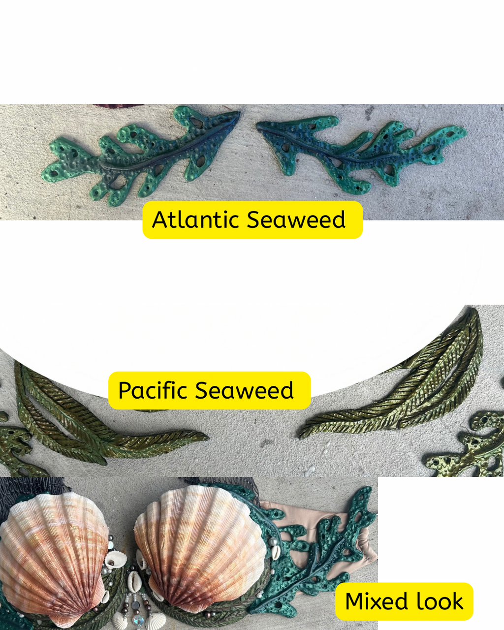 Custom Real Abalone Shell Top Slot Available Sizes: A, B, C, D, and DD