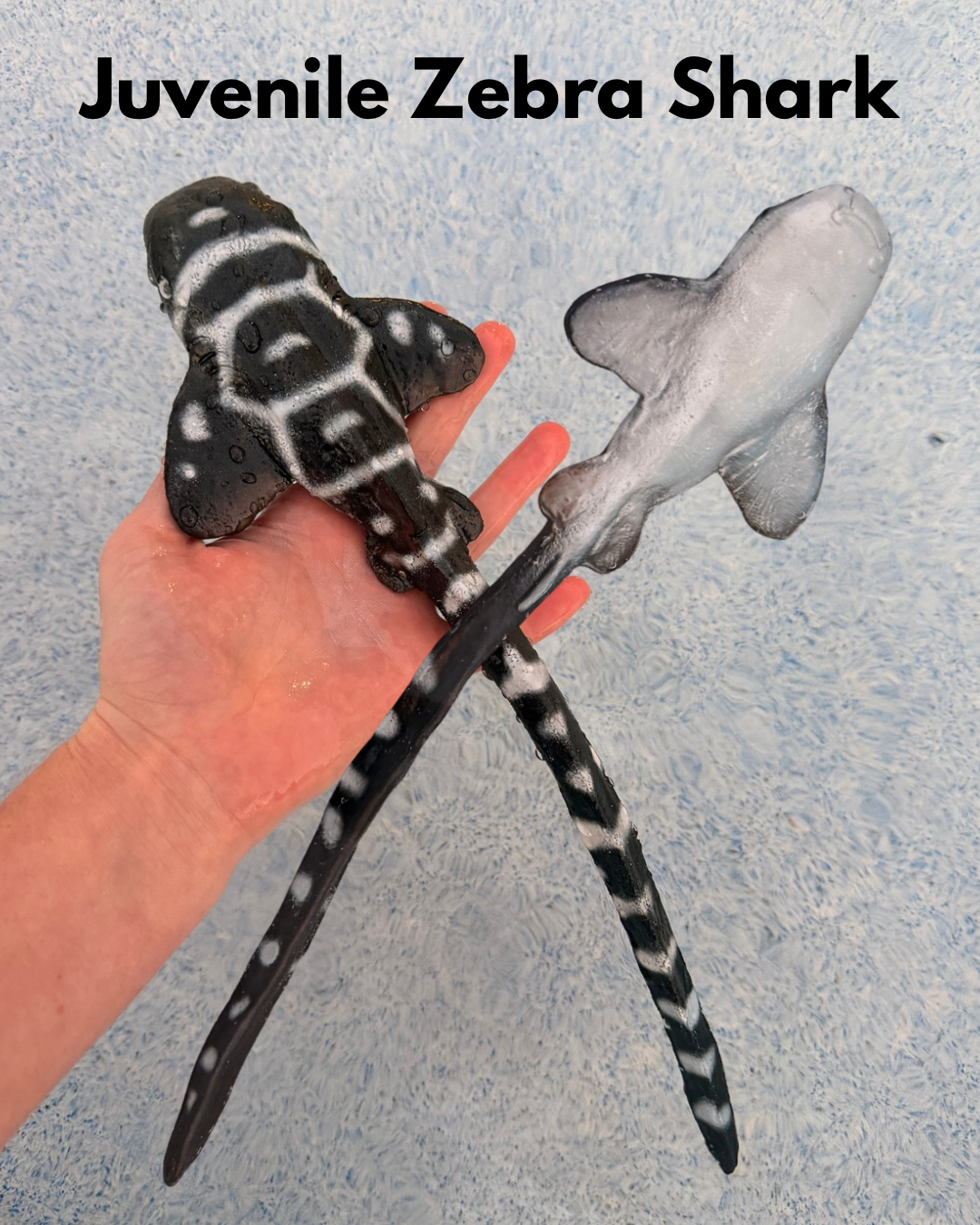 Shark Arm Wraps — Bendable Silicone Dive Props (Ready to Ship)