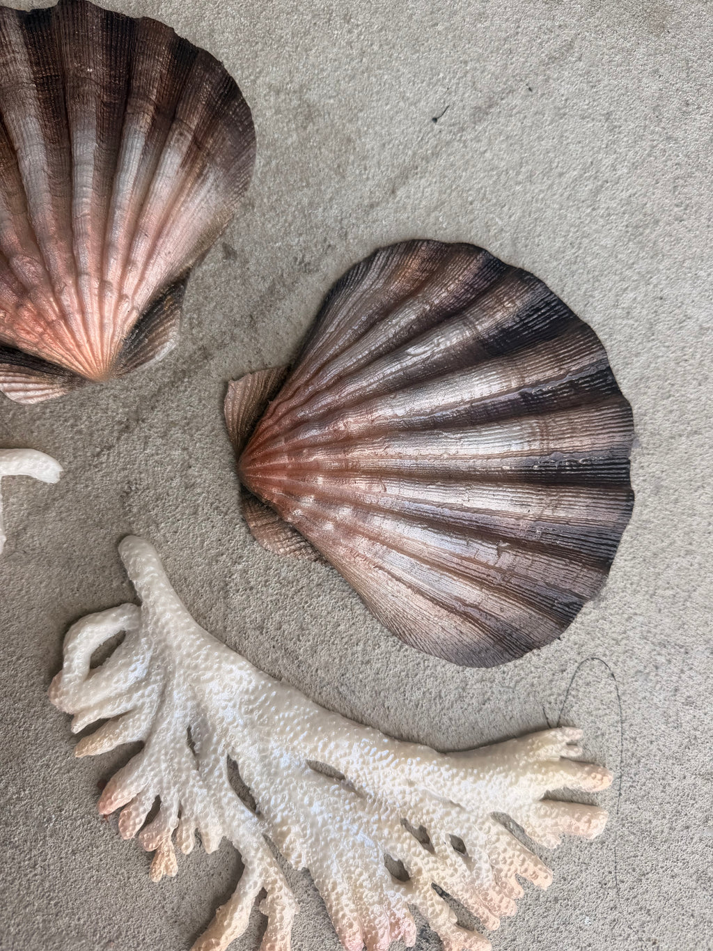Natural Shell Build-A-Top Set – Custom Silicone Mermaid Top (B–DD)