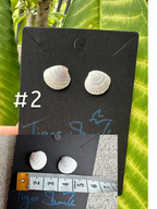 Real Sea Shell Stud Earrings – Handmade from Matching Shells Collected on Sanibel Island, Florida – Stainless Steel or Sterling Silver Posts