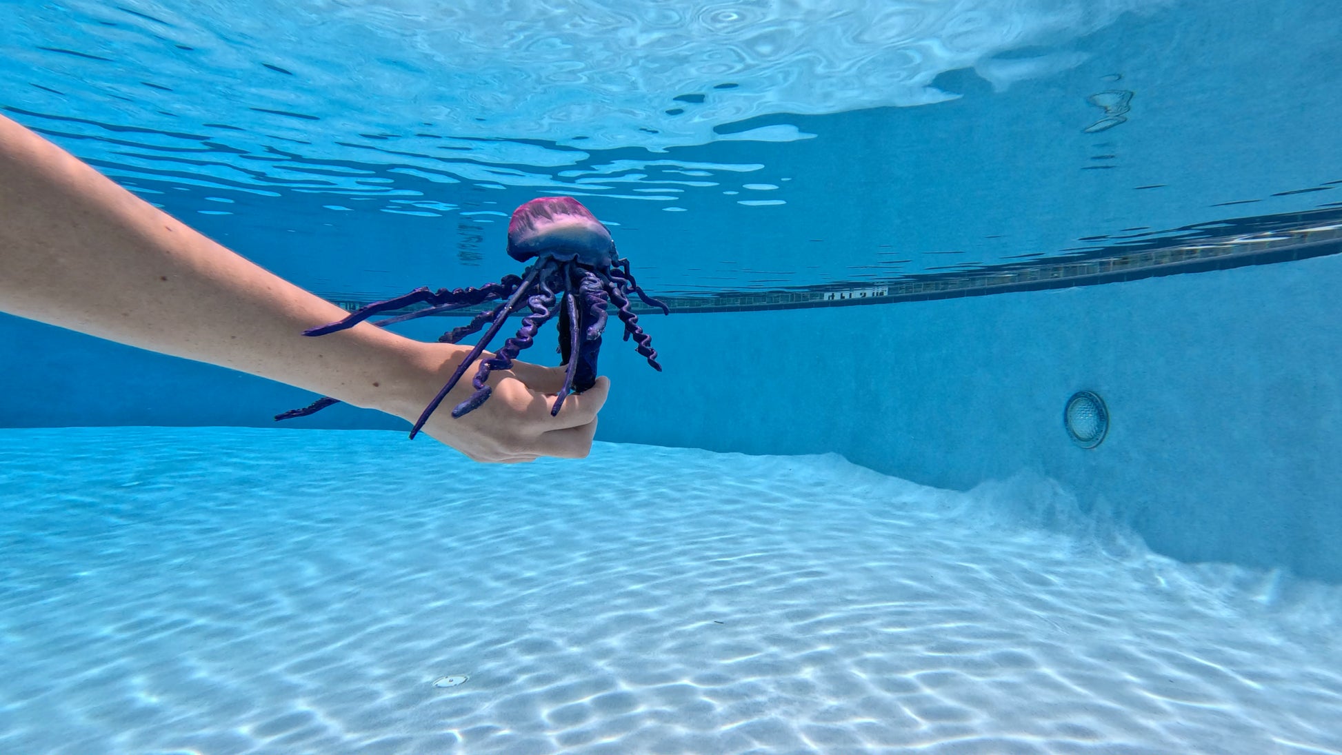 Man-o’-War Jellyfish Floating Arm Band