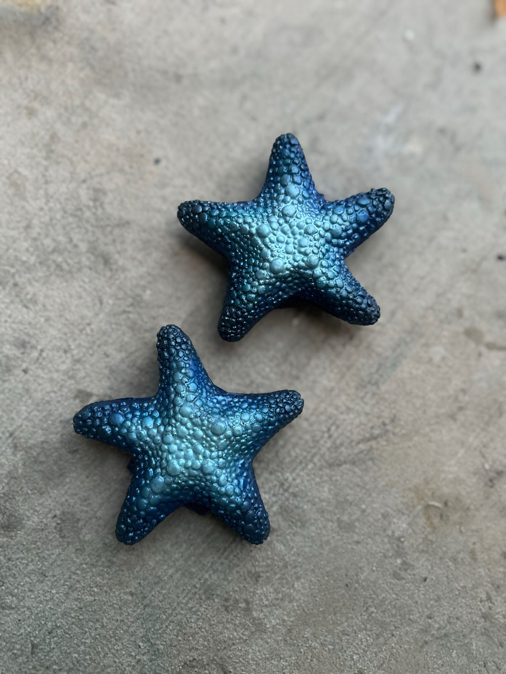 Starfish Add ons/Single and Pair weights
