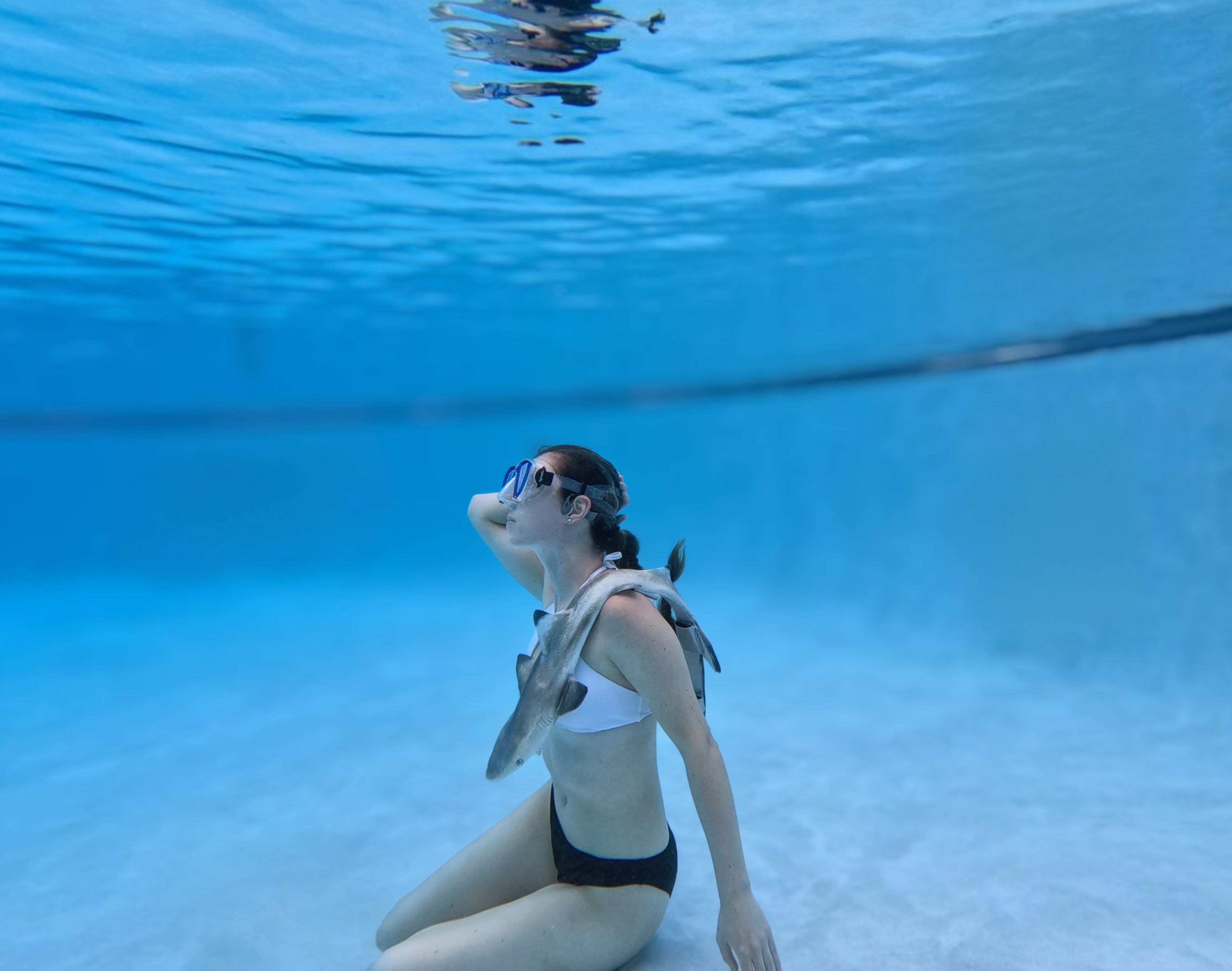 Custom Blacktip Reef Shark Shape Diving Weight Belt (Fully Customizable)