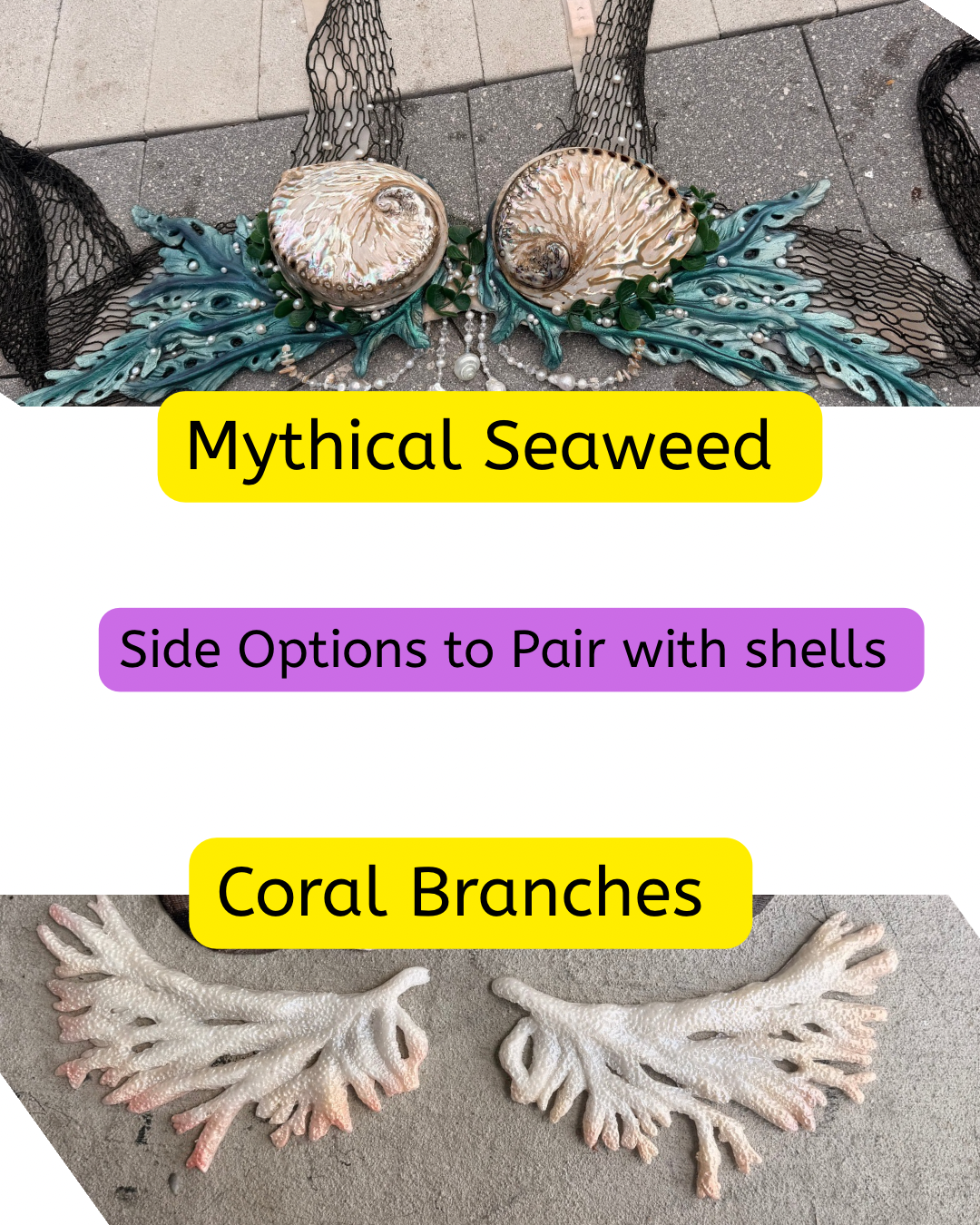 Custom Real Abalone Shell Top Slot Available Sizes: A, B, C, D, and DD