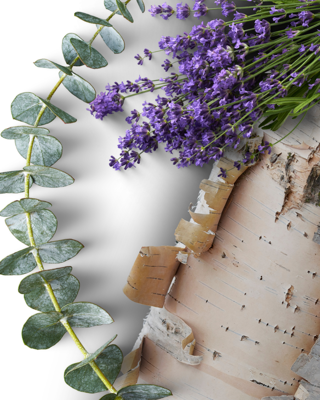 ARCTIC BIRCH — 7oz Apricot Coconut Wax