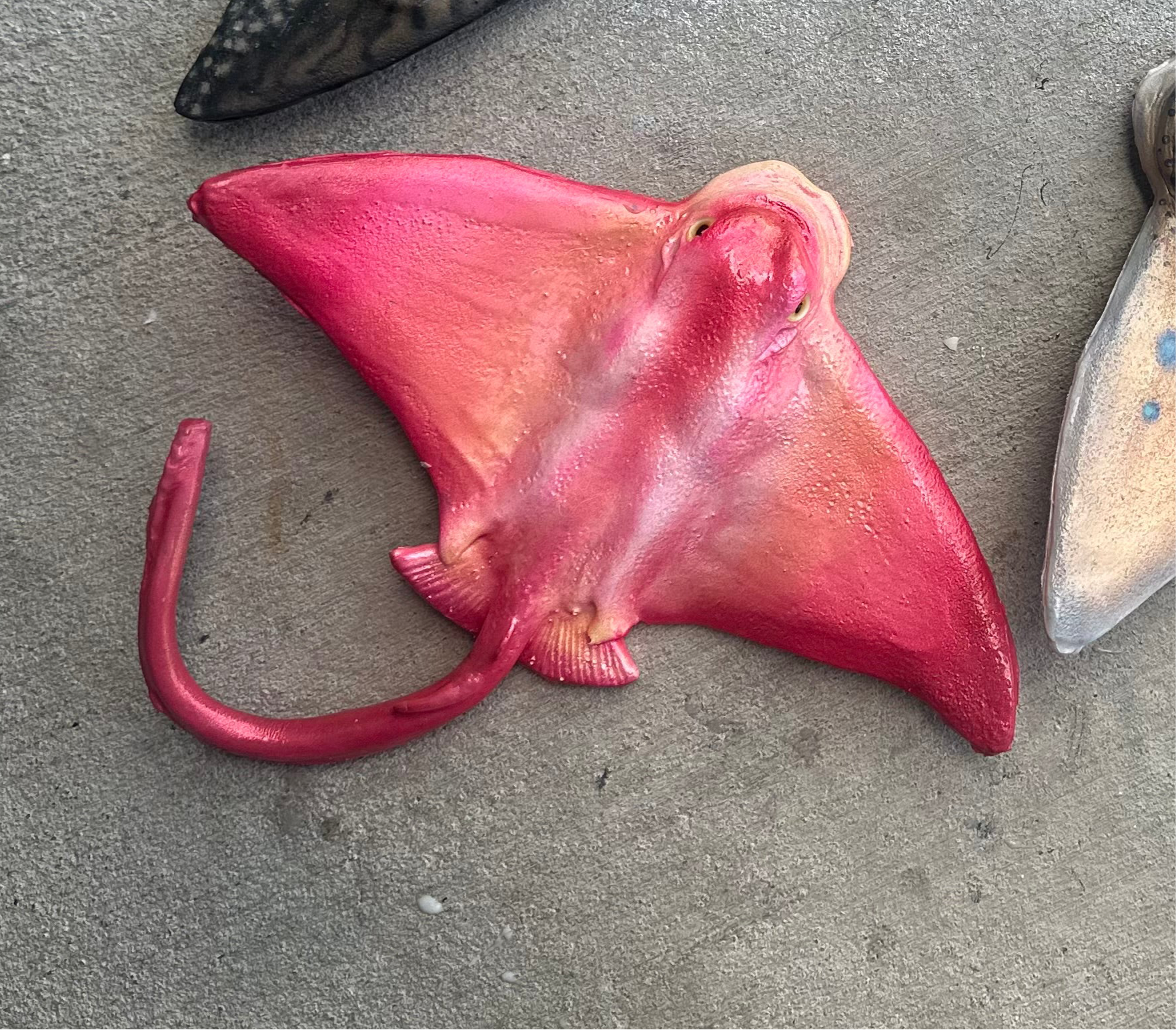Pre-made Handmade Silicone Stingray Sculpture – Poseable & Pool-Ready