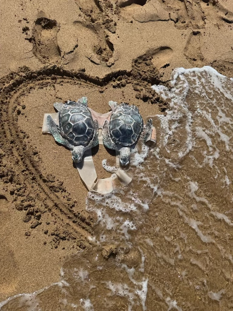 Sea Turtle Top Slot B,C,D, & DD Cup Size