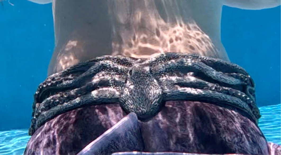 Octopus Diving Weight Belt – Handcrafted, Ocean-Inspired Dive Accessory